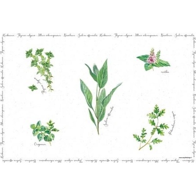 Easy Life Plastové prostírání Herbarium 45x30cm