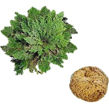 GFT Karafa krištáľová lebka 0,7 l