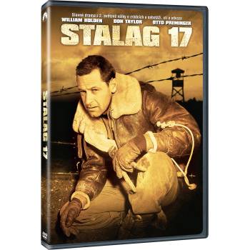 MagicBox Лагер 17 - dvd (020309)
