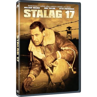 MagicBox Лагер 17 - dvd (020309)