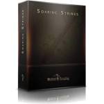 Musical Sampling Soaring Strings