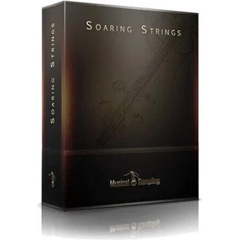 Image 1 of Musical Sampling Soaring Strings