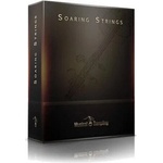 Musical Sampling Soaring Strings