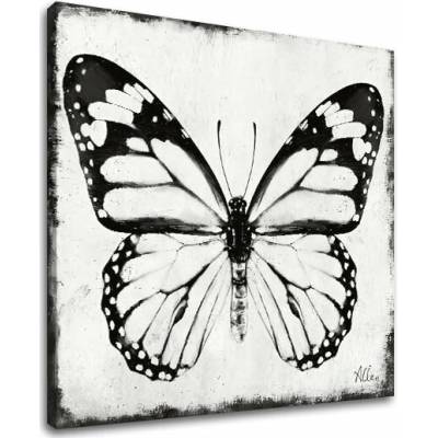 Obraz na plátne MOTÝĽ - 50x50 cm
