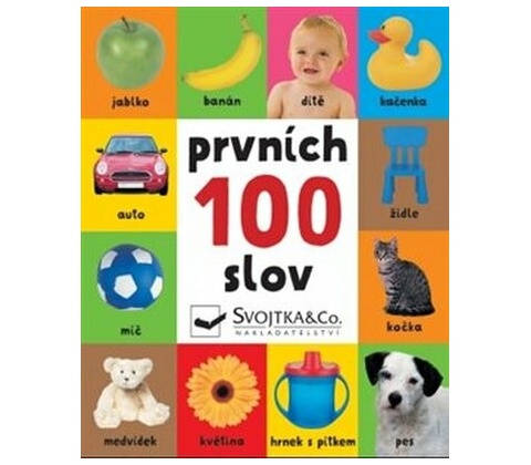 Prvních 100 slov