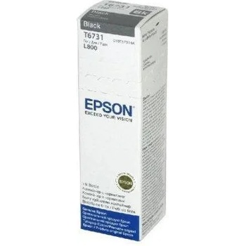 Epson T6731