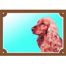 Dafiko Tabuľka koker anglický zlatý 1 ks