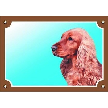 Dafiko Tabuľka koker anglický zlatý 1 ks