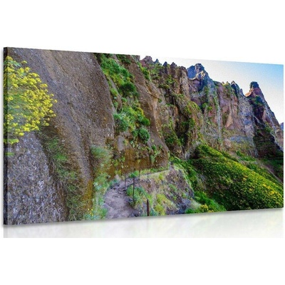 Obraz úzká turistická cestička - 150x100