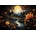 Art Puzzle - Puzzle Night Beauties - 1 000 piese