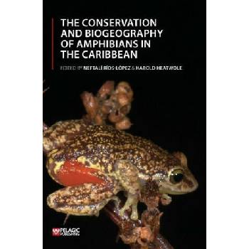 Image 1 of Conservation and Biogeography of Amphibians in the Caribbean | Neftalí Ríos-López, Harold Heatwole