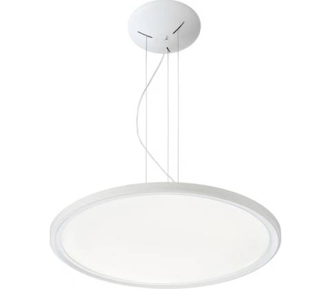 Rendl 10581