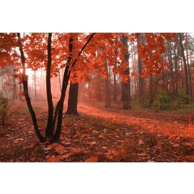 DIMEX ART Флизелинов фототапет гора в мъглата 375 x 250 см