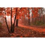 DIMEX ART Флизелинов фототапет гора в мъглата 375 x 250 см