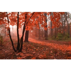 DIMEX ART Флизелинов фототапет гора в мъглата 375 x 250 см