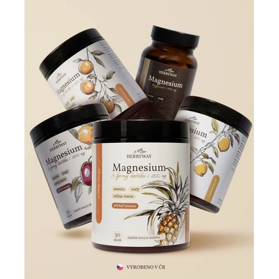 Herbs Energy Magnesium Drink 4 x 30 dávek + Herbs Energy Magnesium Hořčík Bisglycinát 60 kapslí set