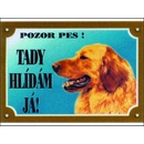 Dafiko Tabulka Zlatý retriever