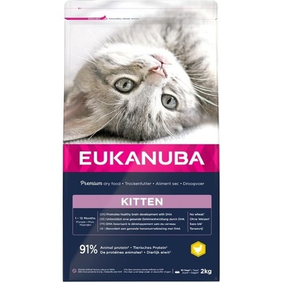 EUKANUBA Kitten Healthy Start - за котенца от 1 до 12 месеца 10kg
