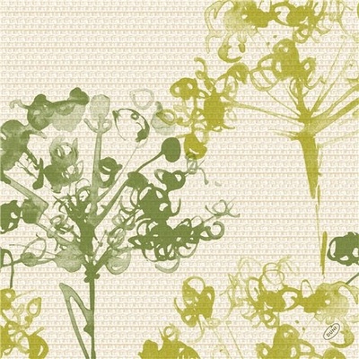 Dunisoft Obrúsok BioGreen Umbles 100031854 40x40cm 60ks