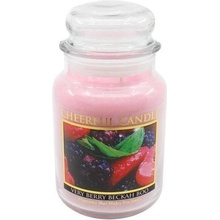 Cheerful Candle Very Berry Beckah Boo 680 g