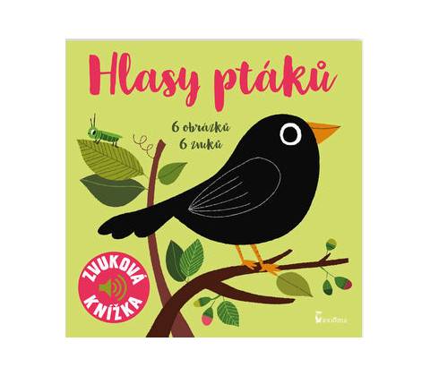 Hlasy ptáků