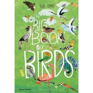 Big Book of Birds (ISBN: 9780500651513)