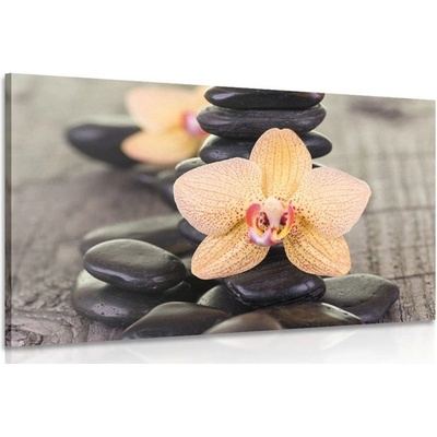 Obraz žltá orchidea a Zen kamene