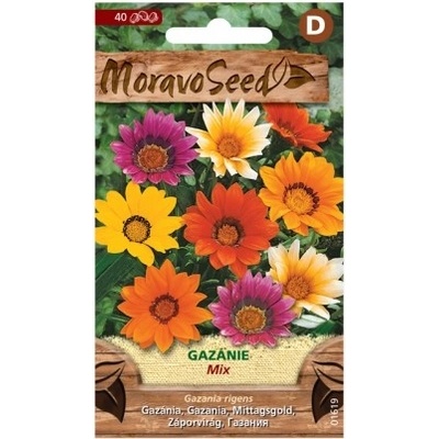 MORAVOSEED Gazánie zářivá, směs