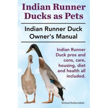 Indian Runner Ducks as Pets. Indian Runner Duck Pros and Con