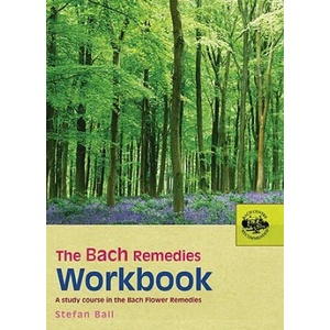 Bach Remedies Workbook (ISBN: 9780091906528)