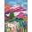 Pieces & Peace - Puzzle Purmamarca - 1 000 piese