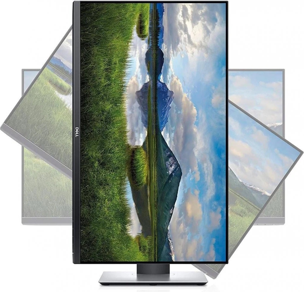 Dell P2419H