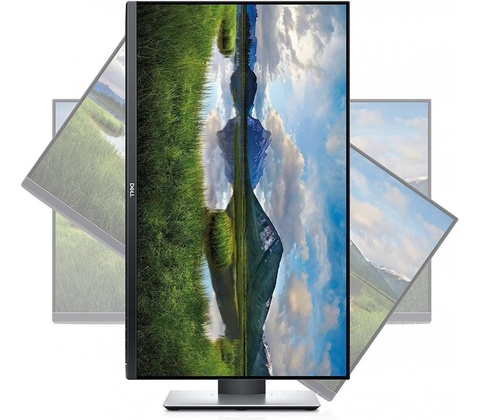 Dell P2419H