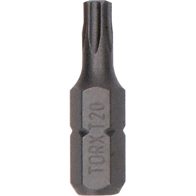 Bosch ExH T20 25 mm 25 ks 2607002799