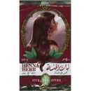 Henna Herb Henna egyptská 200 g