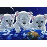 Grafika Art Puzzle - Puzzle Schimmel: Secret, Mystery and Hope - 1 500 piese