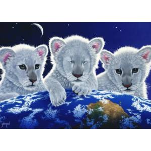 Grafika Art Puzzle - Puzzle Schimmel: Secret, Mystery and Hope - 1 500 piese