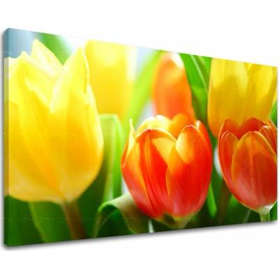 Obraz na stenu KVETY TULIPÁNY - 100x150
