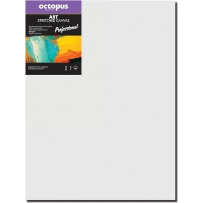 Octopus Professional malířské plátno 350 g 40 x 80 cm – Zboží Dáma
