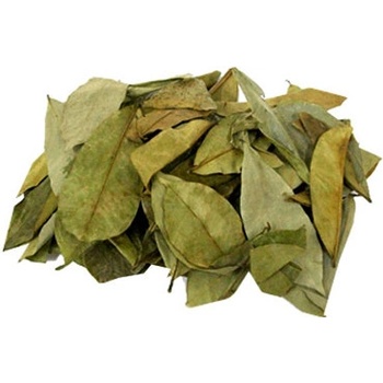 World Herbs Graviola anona list 100 g
