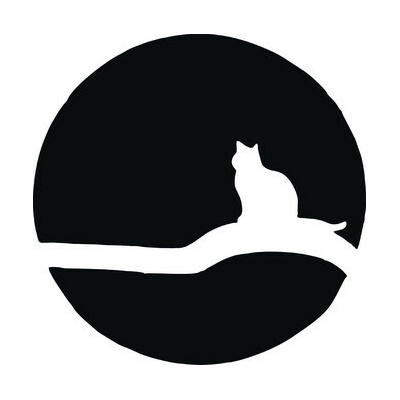 Artemiss Mačka a mesiac plastová šablóna B 15 cm x 15 cm