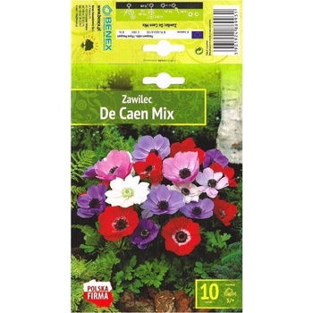 Seklos Анемония Микс Кан Anemone The Caen Mix- 10 бр луковици