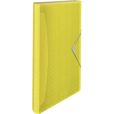 Esselte Colour` Ice A4 harmoniková doska 6 priehradiek zelená
