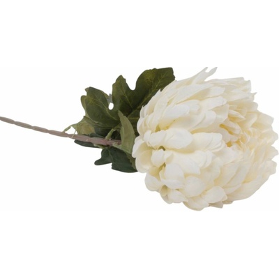KS CHRYZANTÉMA KRÉM 75CM