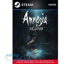Amnesia Collection