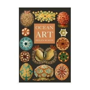 Ocean Art | Scales, Helen (ISBN: 9781836390985)