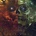 Zenith Passage - Solipsist CD
