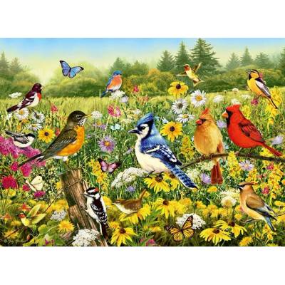 Ravensburger 169887 Vtáčia lúka 500 dielov