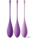 Pipedream Fantasy for Her Kegel Train-Her Set