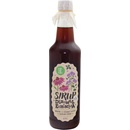 Koldokol sirup dobromysl a echinacea 0,5 l